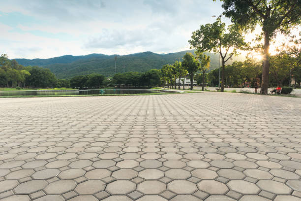 Professional Driveway Pavers in Williston Highlands, FL