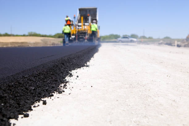Best Affordable Driveway Pavers  in Williston Highlands, FL