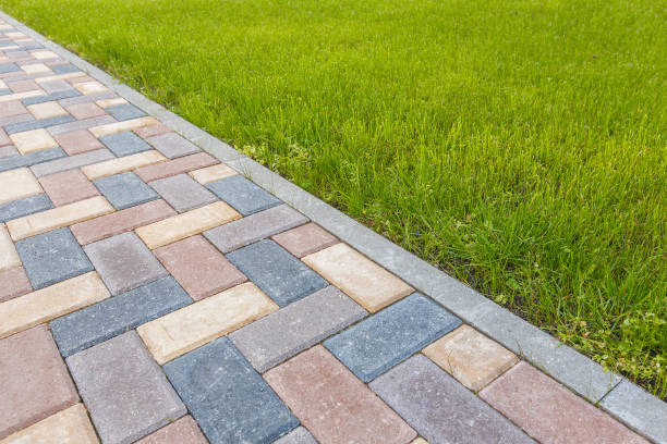 Best Professional Driveway Pavers  in Williston Highlands, FL
